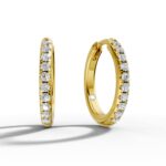 Dazzle Loop Earrings